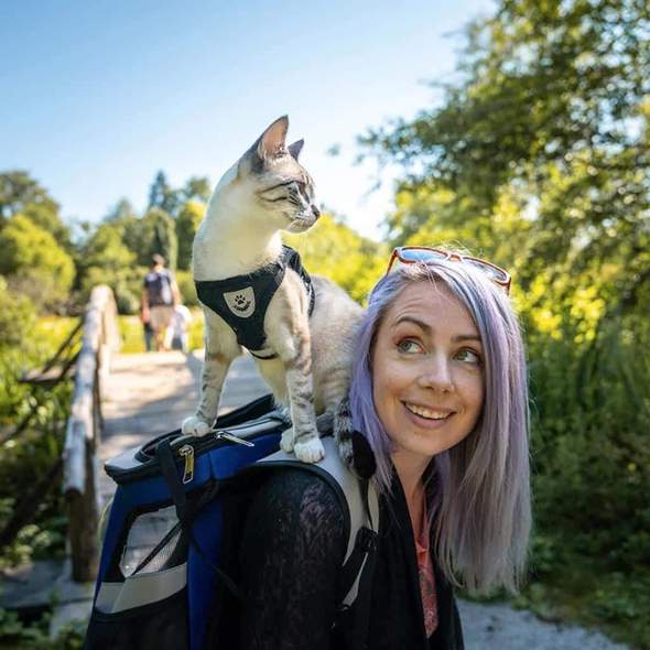 WagVest™ - Reflective Pet Harness (Adjustable & Breathable) + FREE Leash!