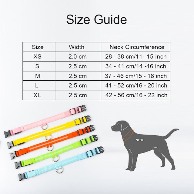 GloWag™ - LED Dog Collar