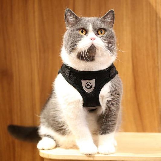 WagVest™ - Reflective Pet Harness (Adjustable & Breathable) + FREE Leash!