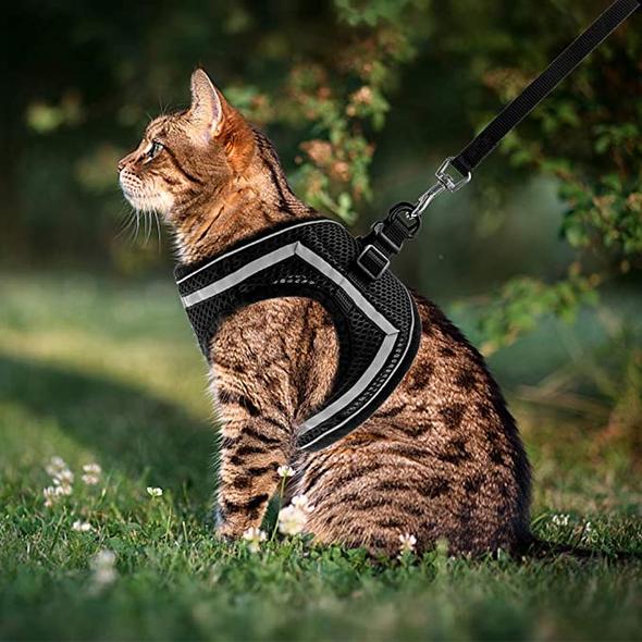 WagVest™ - Reflective Pet Harness (Adjustable & Breathable) + FREE Leash!