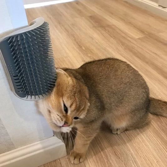 Kitty Korner™ - Cat Self Grooming Wall Scratcher