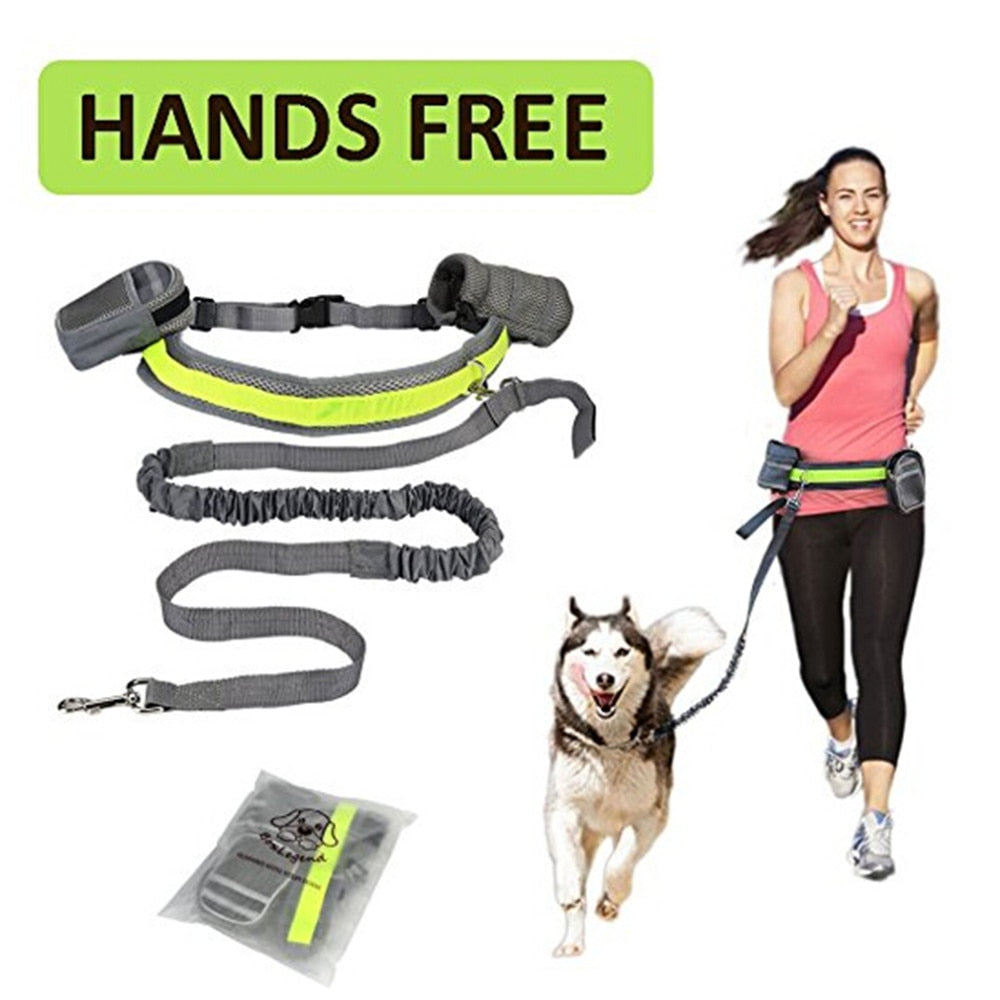 WagRun™ - Handsfree Bungee Leash