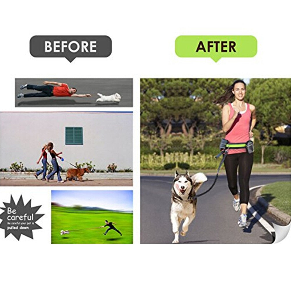 WagRun™ - Handsfree Bungee Leash