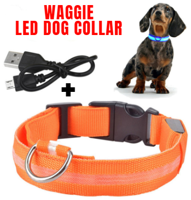 GloWag™ - LED Dog Collar