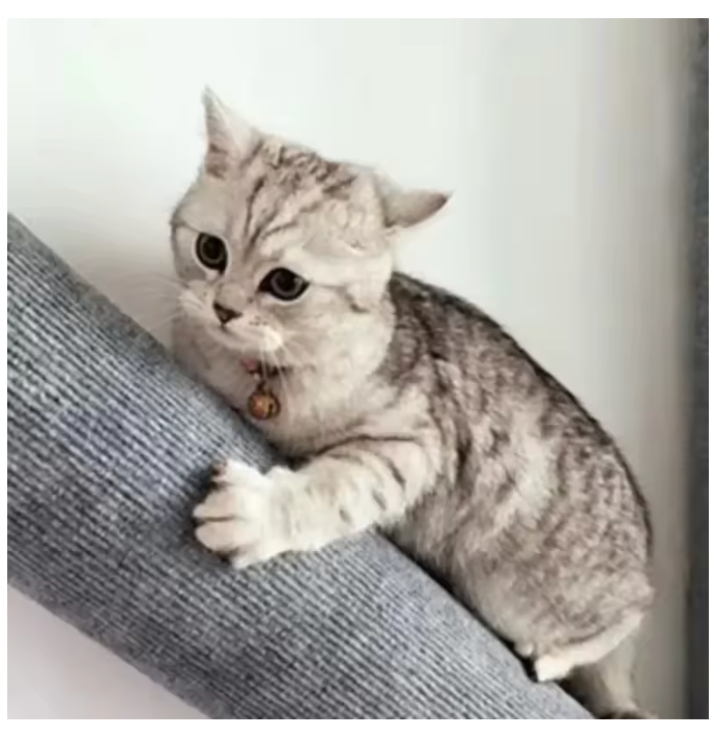 WagPost™ - Sticky Cat Wall Climbing Post (Strong Adhesive)