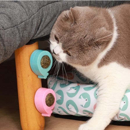 WagLick™ - Natural Catnip Ball Treat (Pro-Digestion/Hairball Remover)