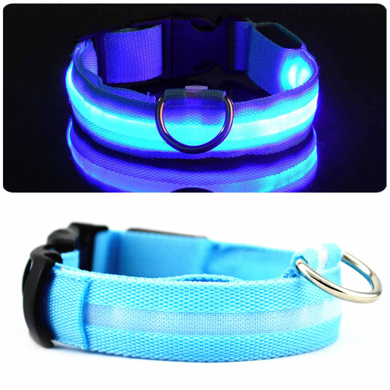 GloWag™ - LED Dog Collar