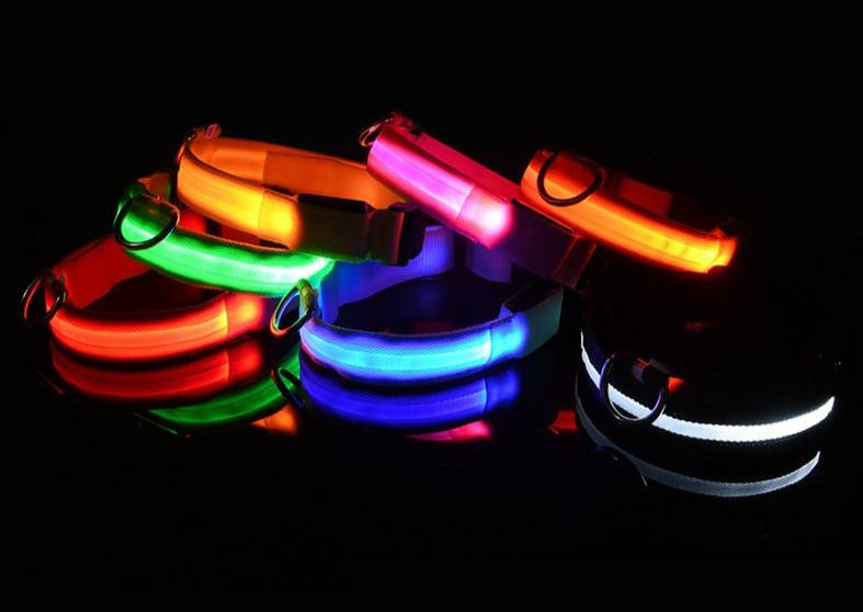 GloWag™ - LED Dog Collar