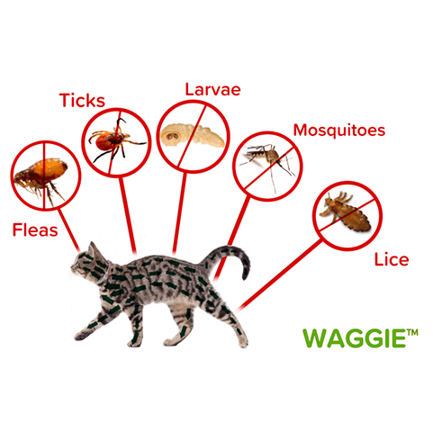 AMERICA'S #1 SAFEST NATURAL FLEA, TICK,MOSQUITOES COLLAR & REPELLENT