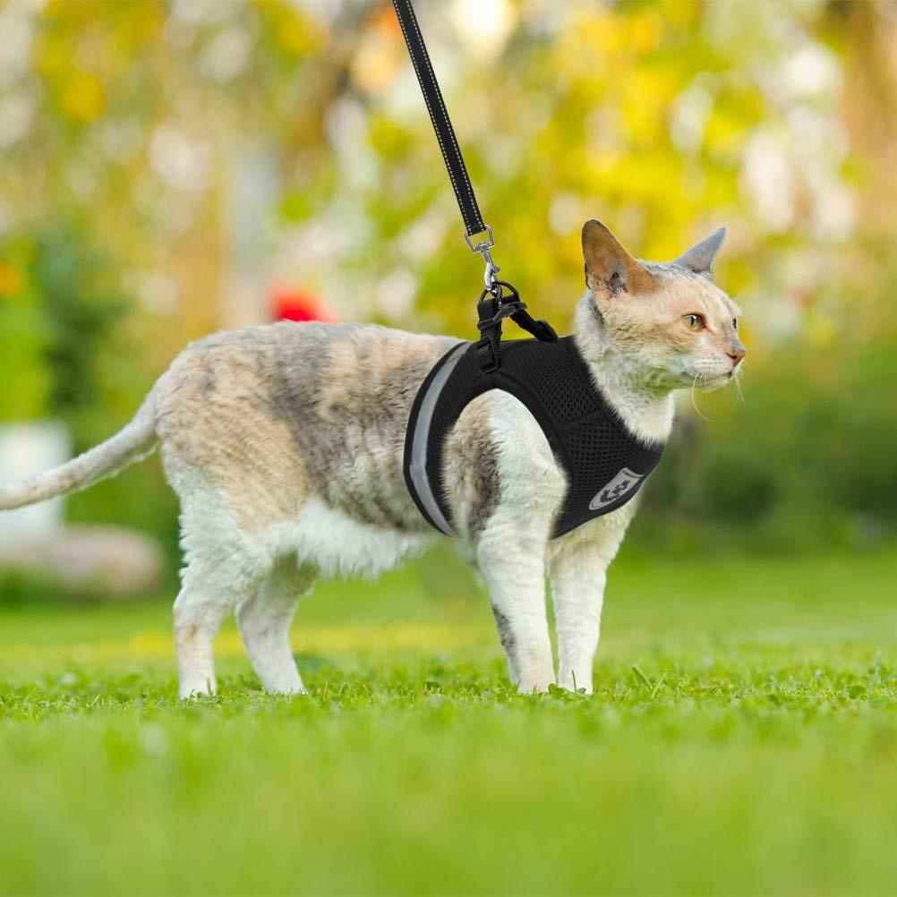 WagVest™ - Reflective Pet Harness (Adjustable & Breathable) + FREE Leash!