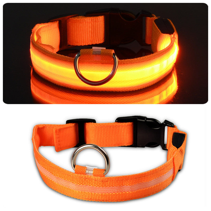 GloWag™ - LED Dog Collar