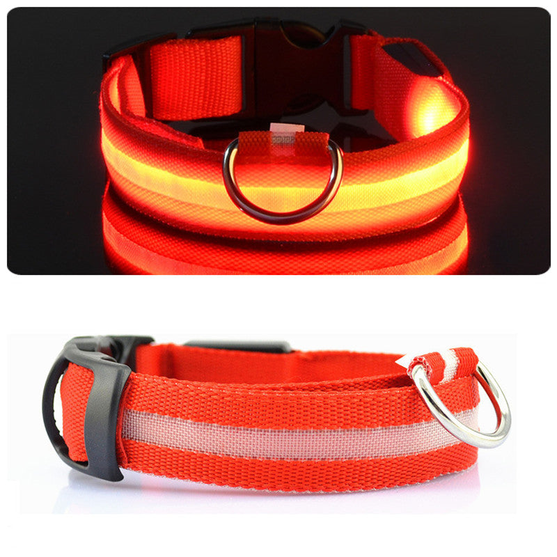 GloWag™ - LED Dog Collar