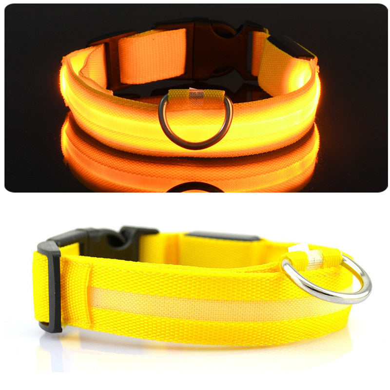 GloWag™ - LED Dog Collar